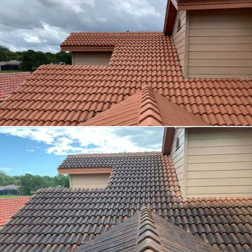 Roof Cleaning Jacksonville
